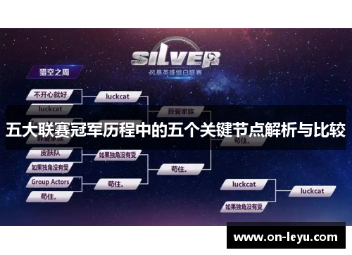 五大联赛冠军历程中的五个关键节点解析与比较