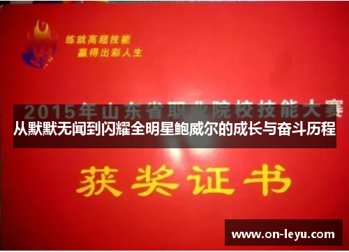 从默默无闻到闪耀全明星鲍威尔的成长与奋斗历程
