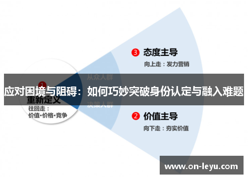 应对困境与阻碍：如何巧妙突破身份认定与融入难题