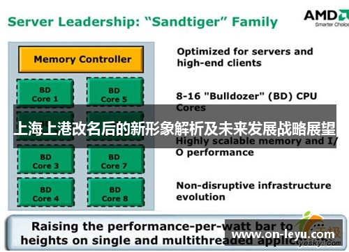 上海上港改名后的新形象解析及未来发展战略展望