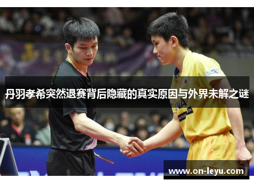 丹羽孝希突然退赛背后隐藏的真实原因与外界未解之谜