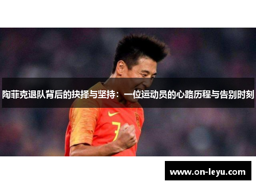 陶菲克退队背后的抉择与坚持：一位运动员的心路历程与告别时刻