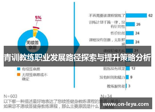 青训教练职业发展路径探索与提升策略分析