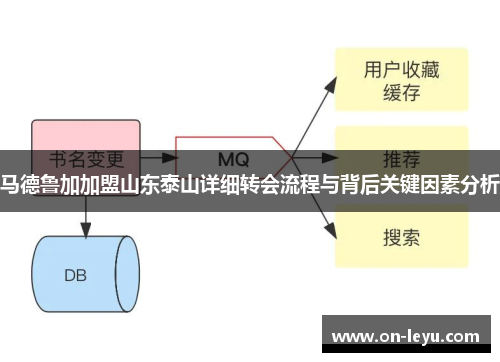 马德鲁加加盟山东泰山详细转会流程与背后关键因素分析